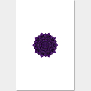 a very fancy doily Posters and Art